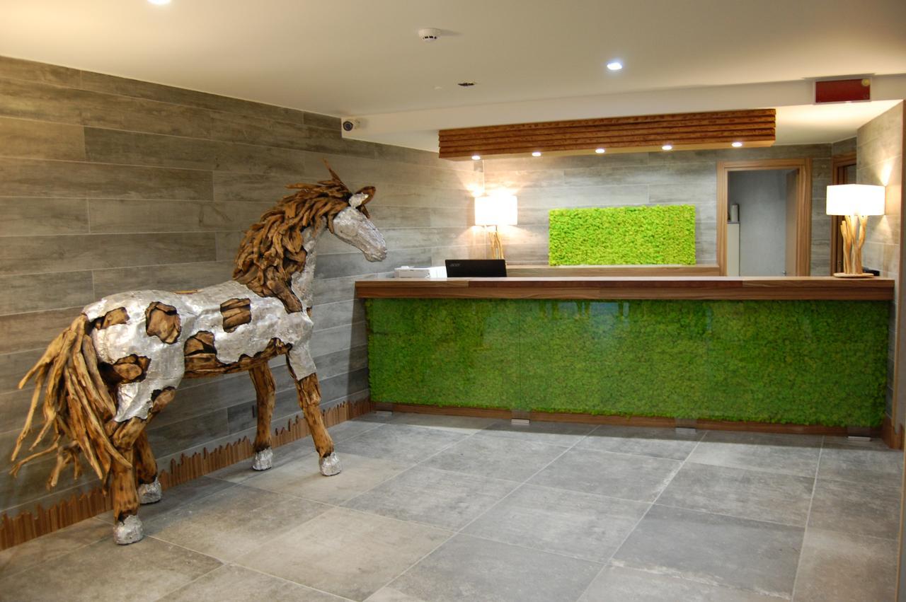 National Park Hotel & Spa 코트로네이 외부 사진